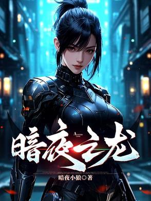 暗夜之龙 暗夜之龙