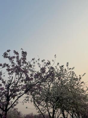 搬空家底去下乡 搬空家底去下乡