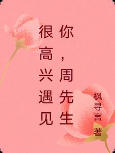 很高兴遇见你,周先生 很高兴遇见你,周先生