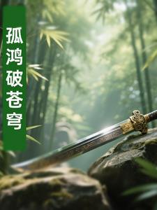 孤鸿破苍穹 孤鸿破苍穹