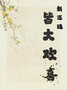 新还珠之皆大欢喜 新还珠之皆大欢喜