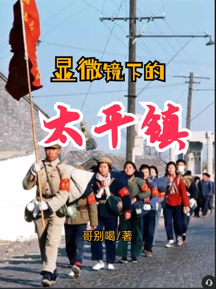 显微镜下的太平镇 显微镜下的太平镇