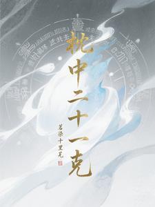 枕中二十一克 枕中二十一克