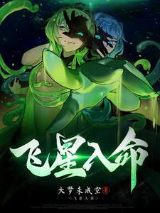 飞星入命 飞星入命