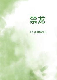 禁龙(人外骨科NP) 禁龙(人外骨科NP)