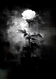 藏起她的不钟情(1v1) 藏起她的不钟情(1v1)