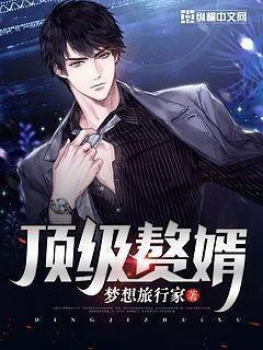 顶级赘婿 顶级赘婿